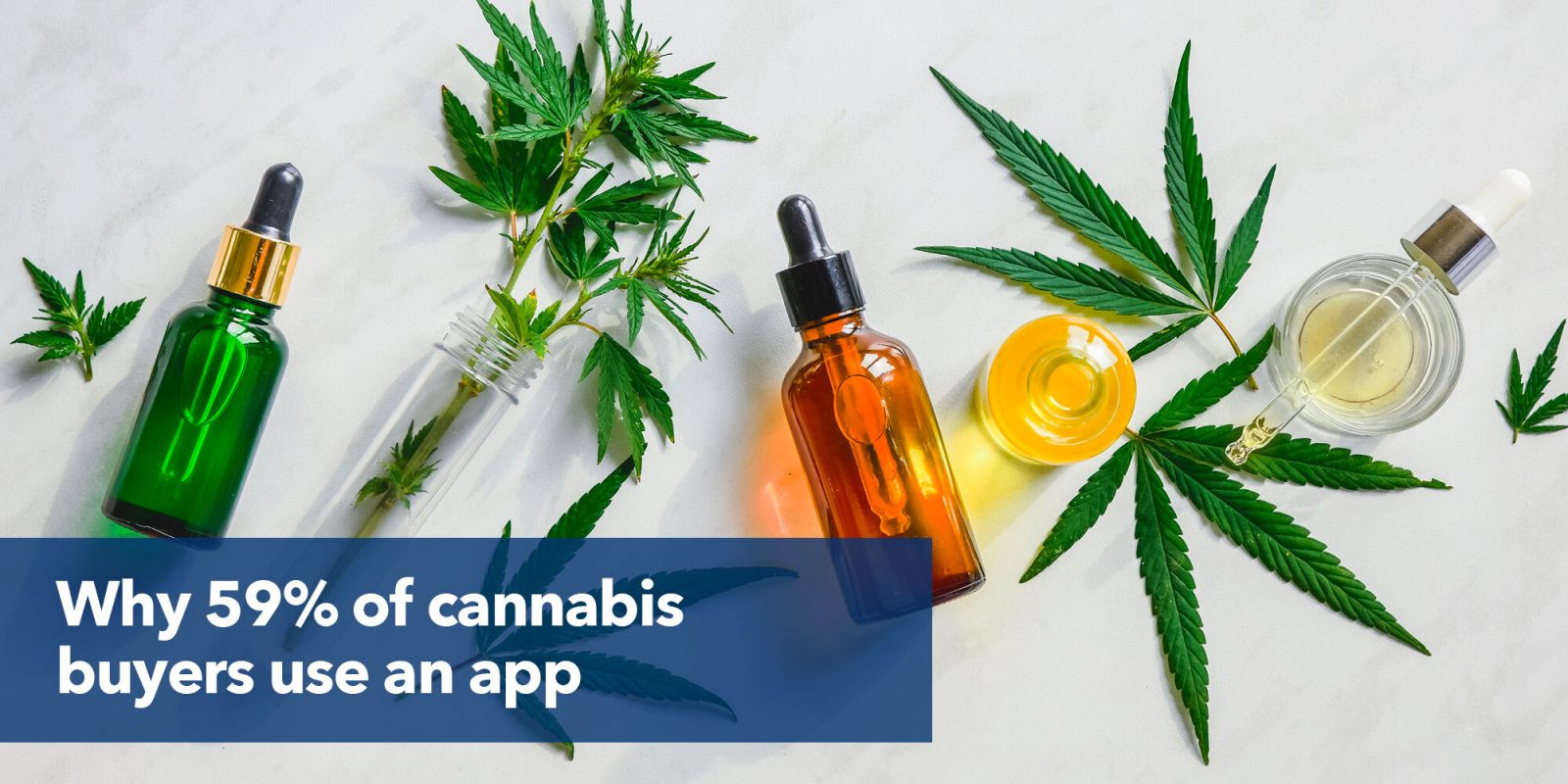 Why 59% of cannabis buyers use an app.