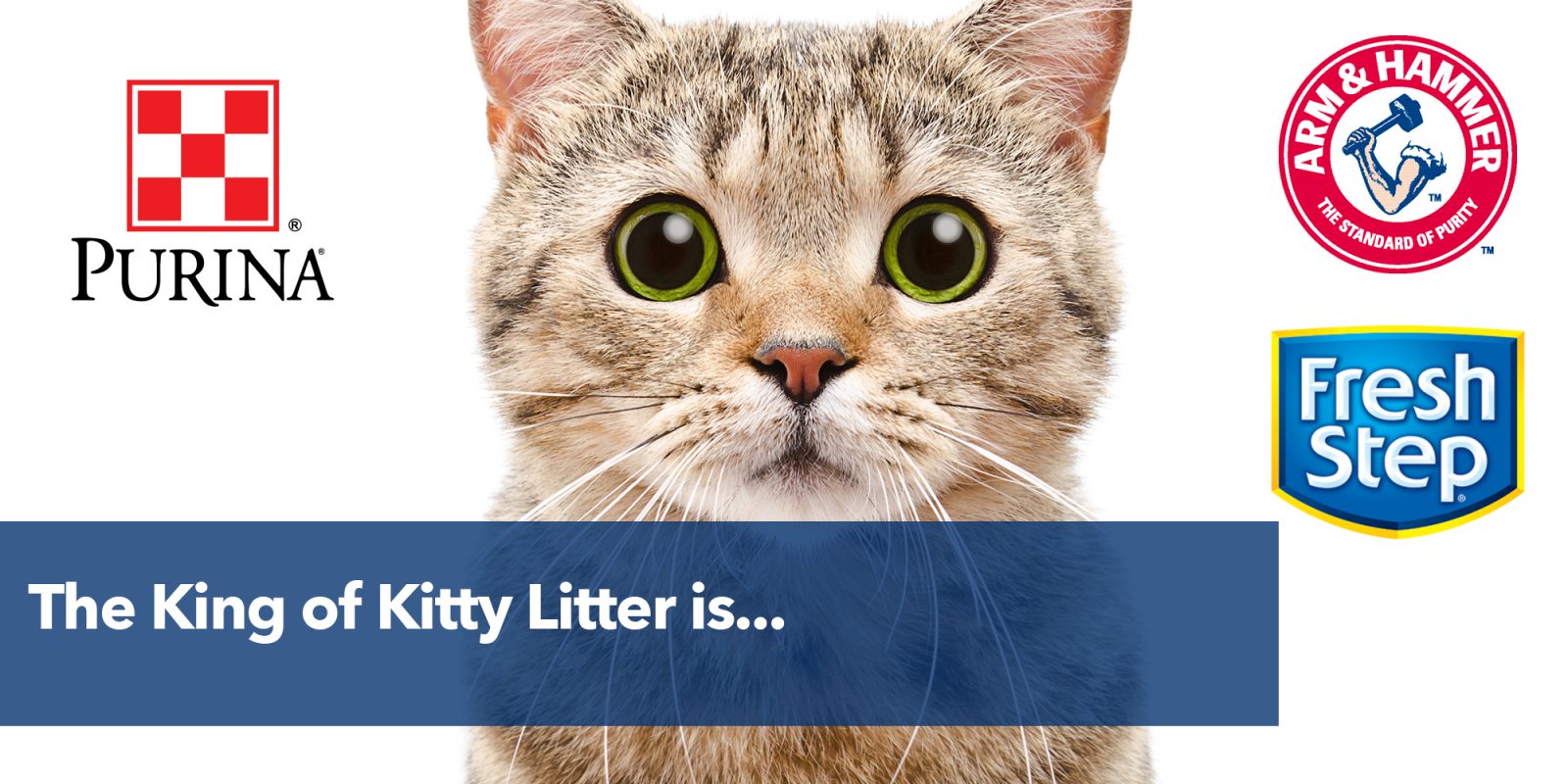 The King of Kitty Litter is…