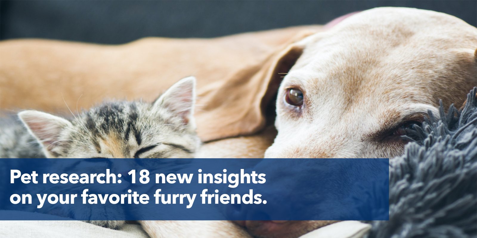 Pet research: 18 new insights about your furry friends.